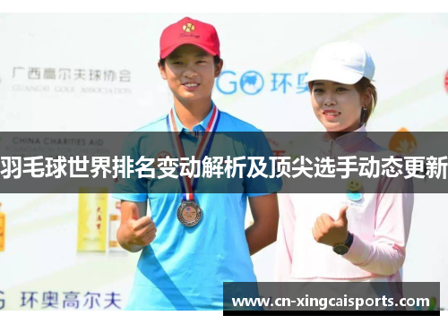 羽毛球世界排名变动解析及顶尖选手动态更新