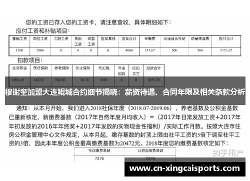 穆谢奎加盟大连鲲城合约细节揭晓：薪资待遇、合同年限及相关条款分析
