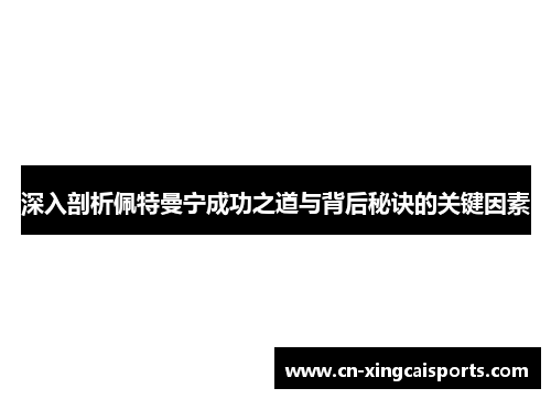 深入剖析佩特曼宁成功之道与背后秘诀的关键因素